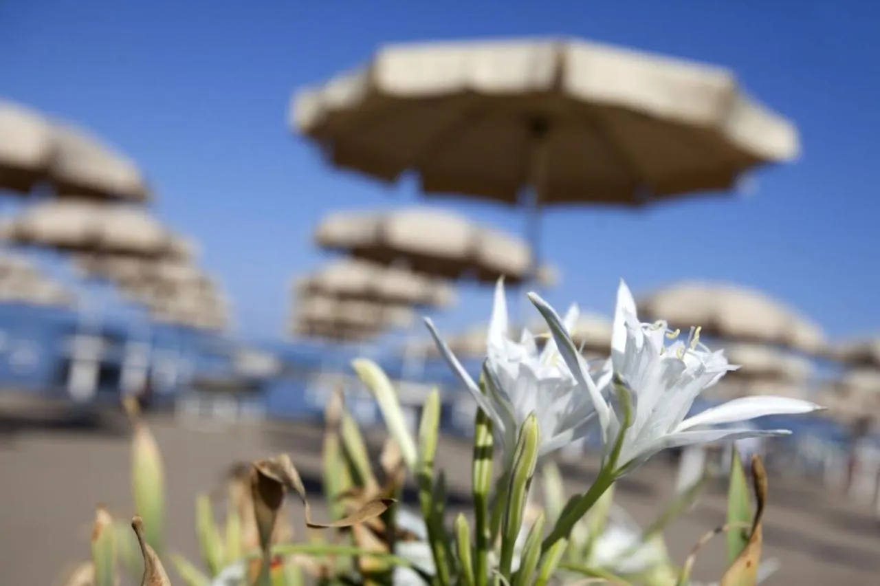 Happy Sea Home - Monolocale Sul Mare Con Piscina Albinia